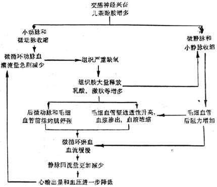 失血性休克病因