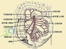 十二指肠淤积症怎么治疗?