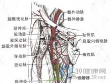 昨天突然右耳朵轰轰响,头不舒服,这是什么原因导致这种症状的?