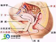 头胎如果堕胎的话对人体会有什么危害么