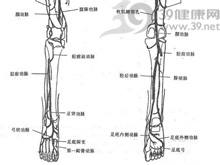 小腿取完钢板能过性生活吗?