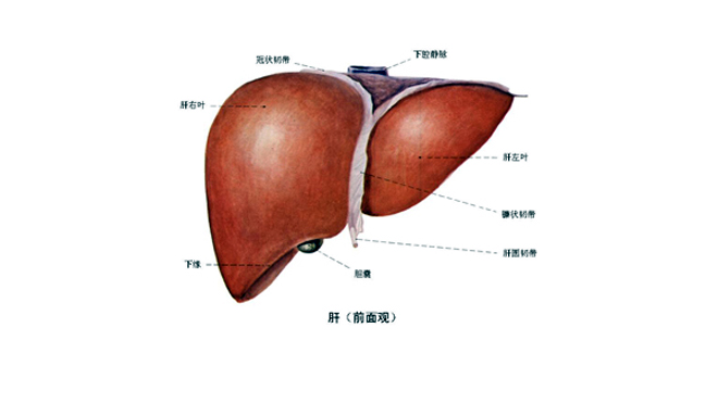 胆囊炎的症状图片 胆囊炎图片大全 胆囊炎 39疾病百科