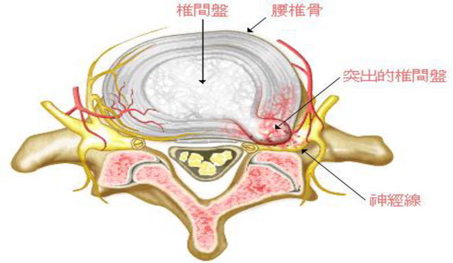 膀什么腰什么成语_牛膀是牛的什么(2)