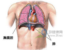 胸膜肥厚