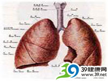蜂窝肺