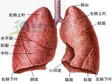 肺弥散功能障碍