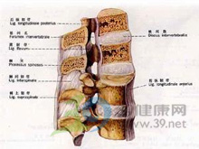 脊髓半切综合征
