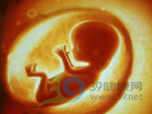 胚胎停止发育