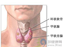 甲状腺扪及光滑坚实的椭圆形结节