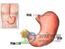 远端胃窦产生异位节律