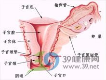 宫颈黏液脓性分泌物