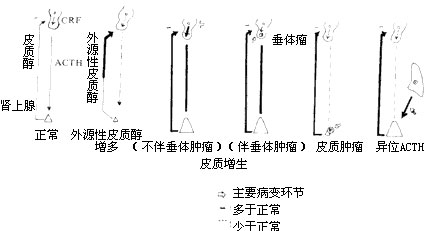 庫欣綜合徵如何預防