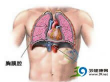 胸肌炎的位置图图片